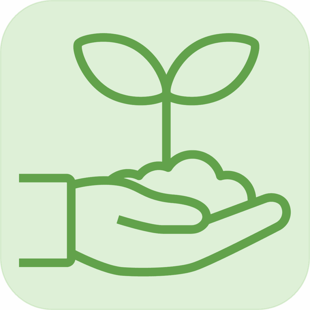 追加オプション